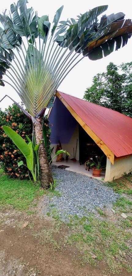 Ballena Oasis Homes & Glamping Увита Экстерьер фото