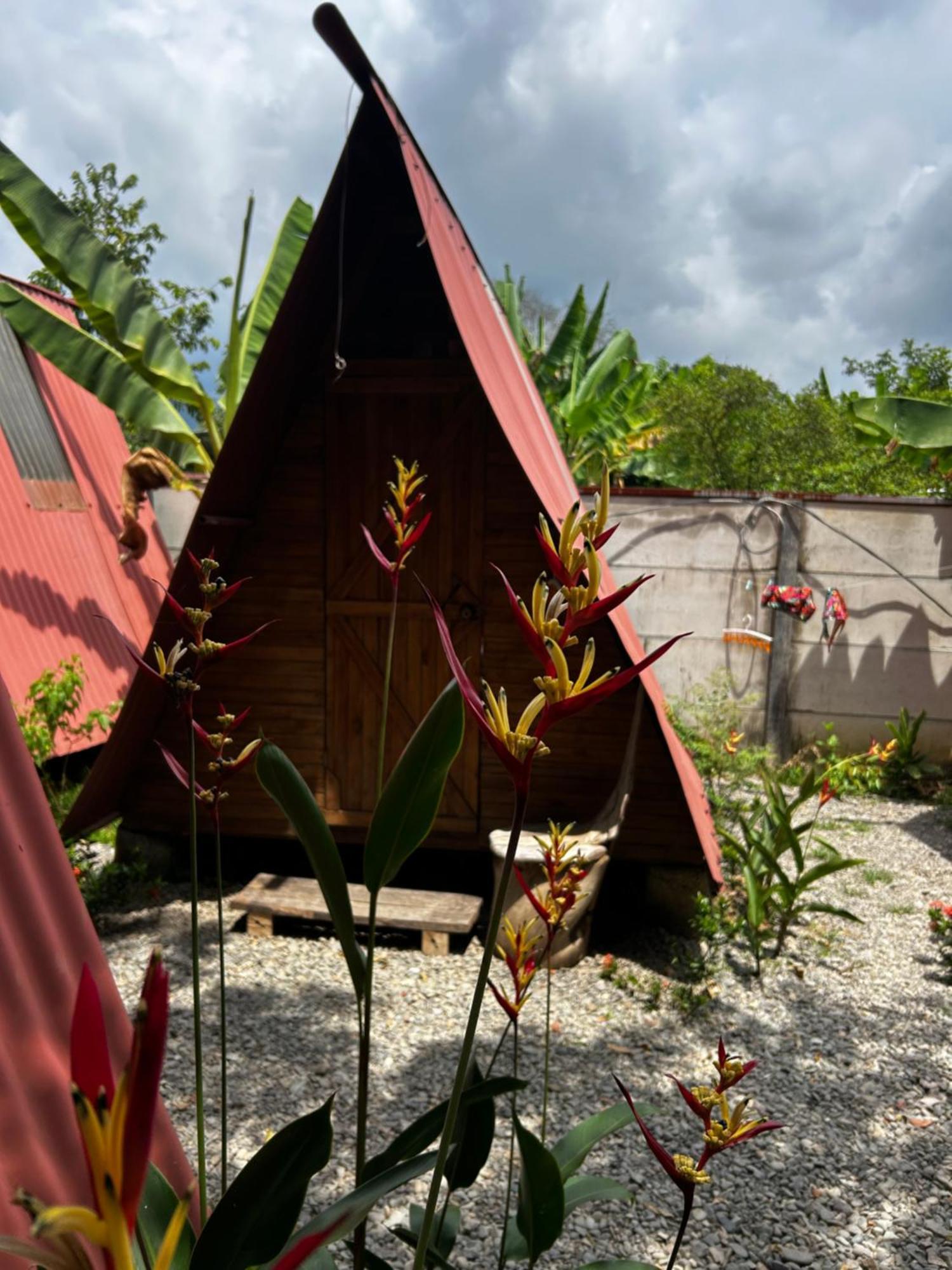 Ballena Oasis Homes & Glamping Увита Экстерьер фото